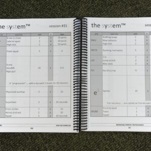 THE SYSTEM - Image 2