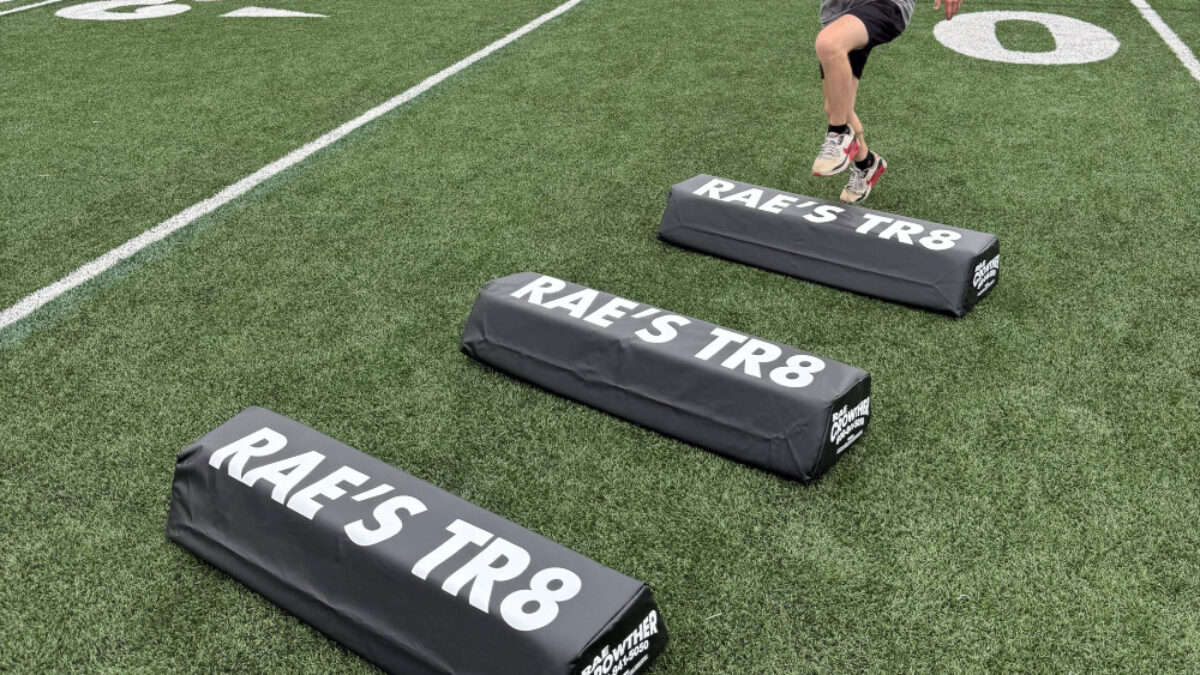 8” TRAPEZOID STEPOVERS | Rae Crowther