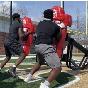 Z LEVERAGE SLED - Image 10