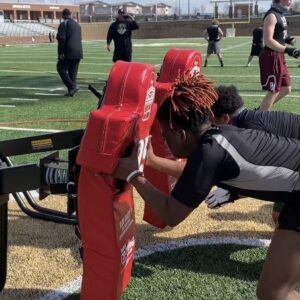 Z LEVERAGE SLED - Image 11