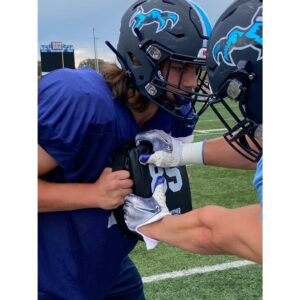 MINI SHIELD - Image 2