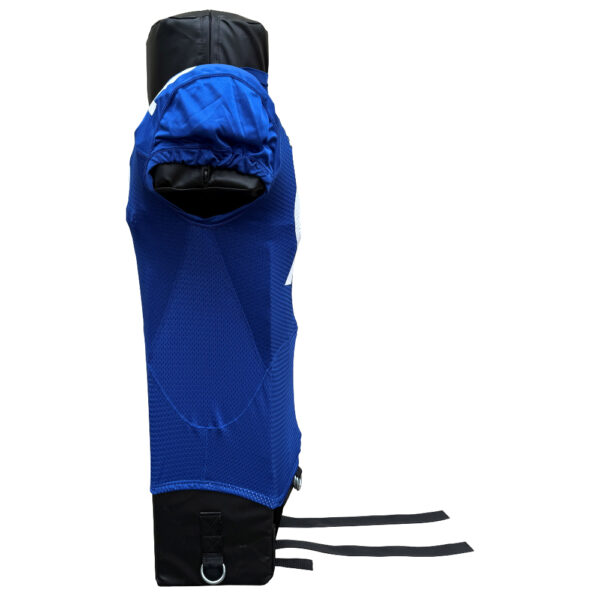 H1 world side silh blue adj